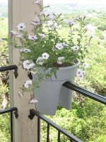 Balkonbak Flowerclip